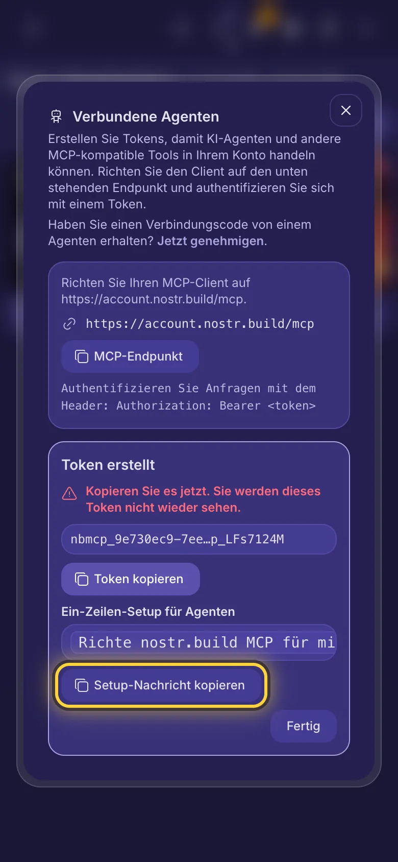 Token erstellt: das Token, eine Kopier-Schaltfläche und die einzeilige Setup-Nachricht.