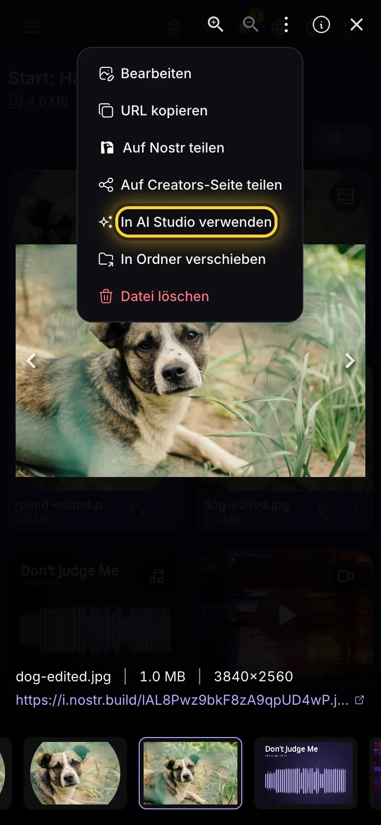 Ein Bild im Vollbild, mit geöffnetem Menü Aktionen und markiertem Eintrag In AI Studio verwenden.