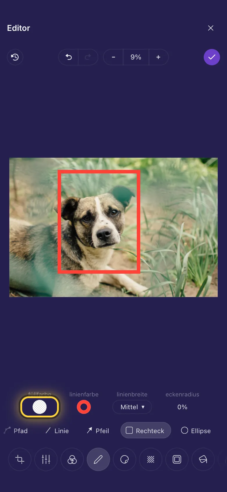 Ein rot umrandetes Rechteck um das Gesicht eines Hundes