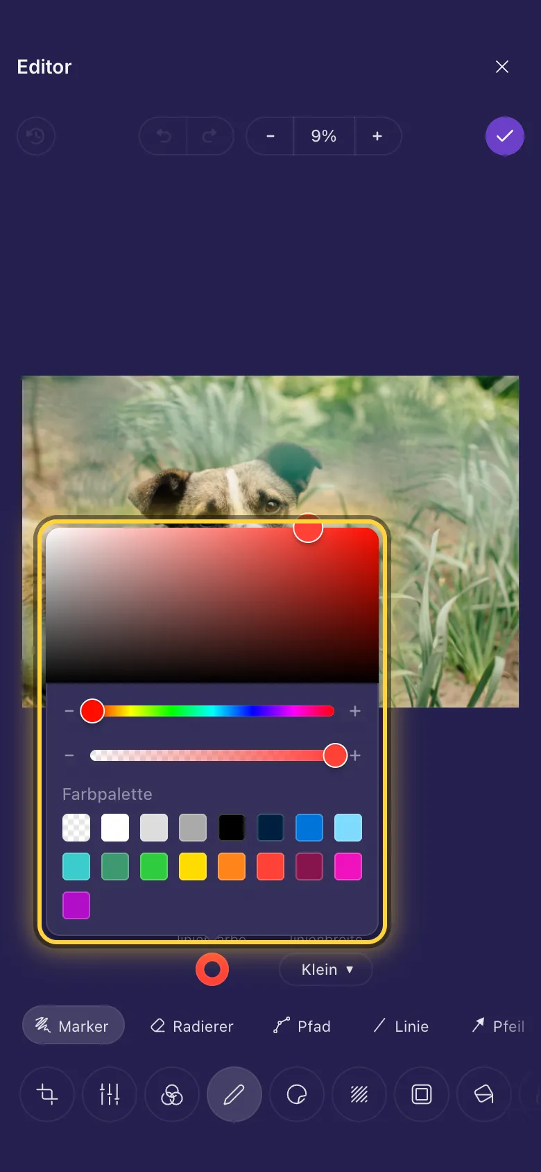Die Farbauswahl über einem Foto geöffnet, mit ihrer Palette