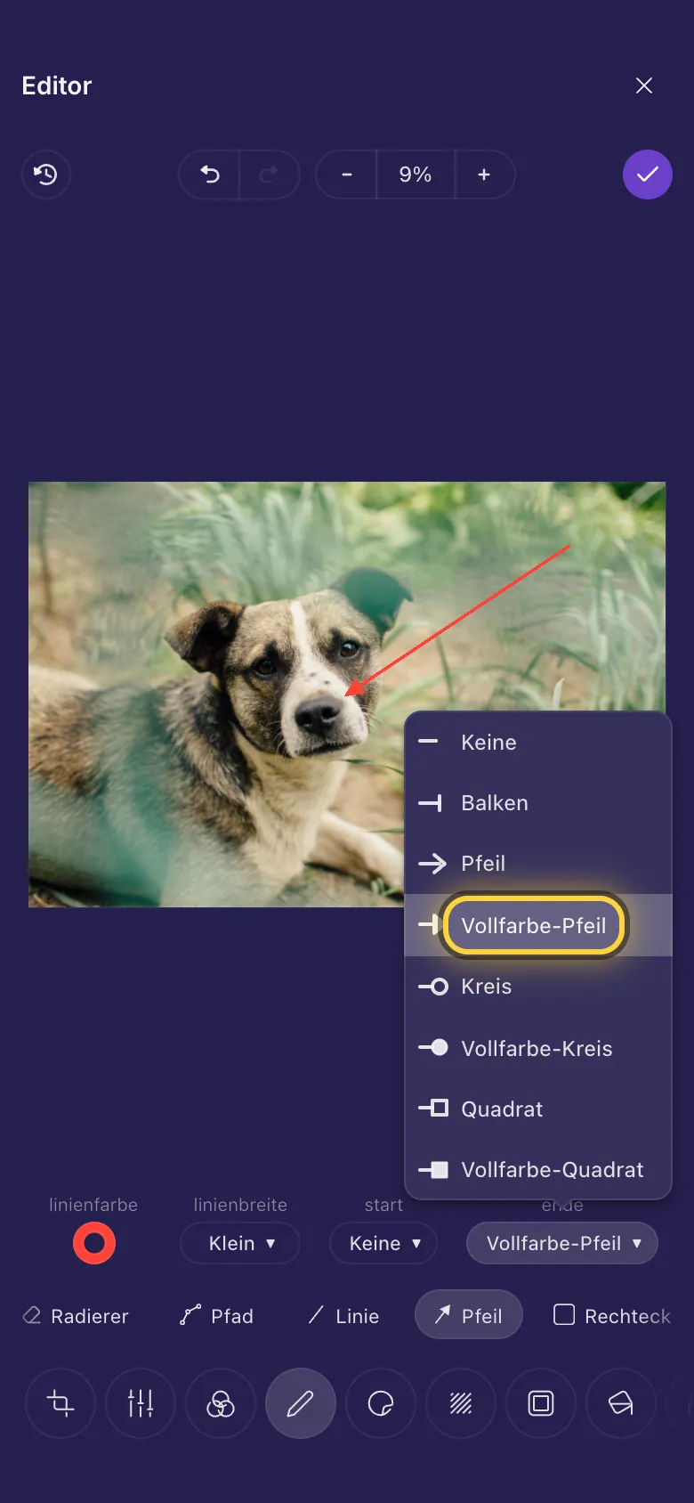 Ein Pfeil, der auf die Nase eines Hundes zeigt, mit geöffneter Liste der Linienenden
