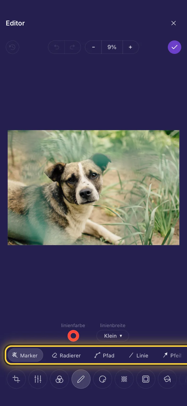 Die Zeichenwerkzeuge in einer Reihe unter dem Foto eines Hundes, mit ihren Einstellungen darüber