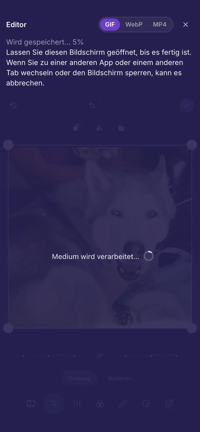 Der Editor beim Speichern eines GIFs