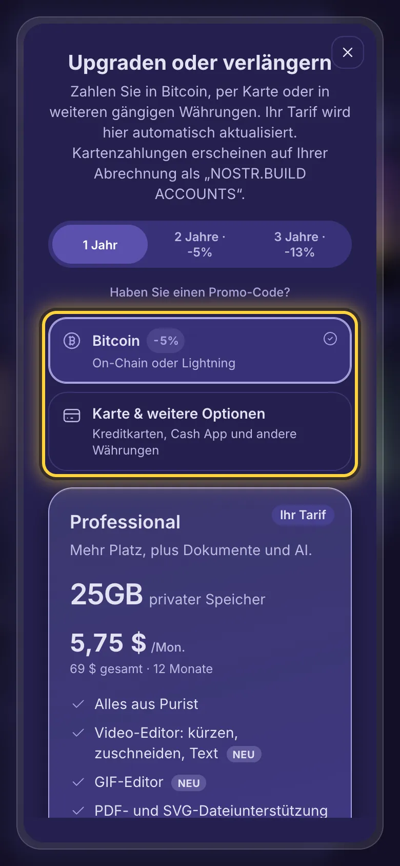 Die Zahlungsauswahl: Bitcoin oder Karte und weitere Optionen.