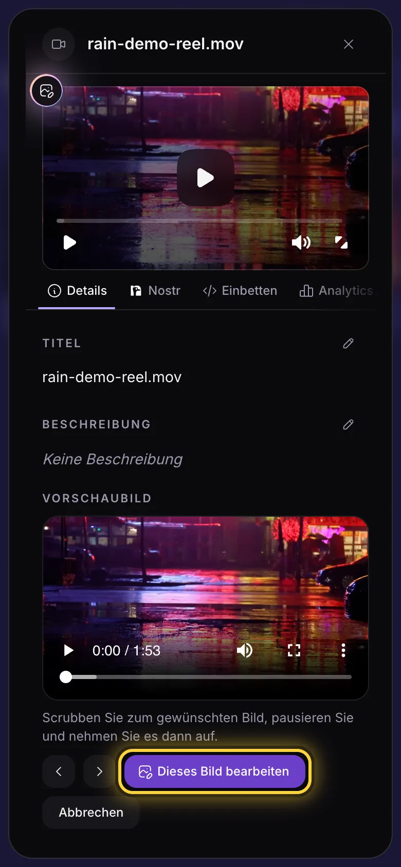Die Details eines Videos, Dieses Bild bearbeiten ist im Bereich Vorschaubild eingekreist