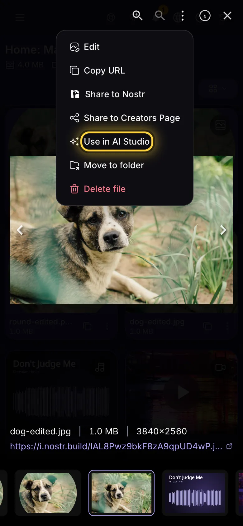 A picture open full screen, with its Actions menu open and Use in AI Studio marked.