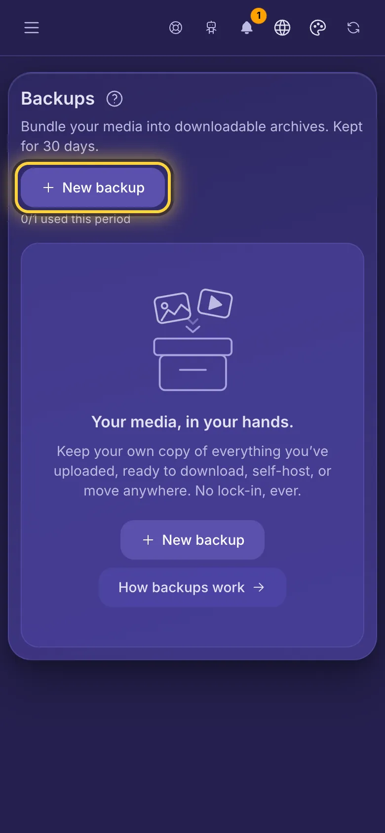 Backups, with the New backup button and how many backups are left this period.