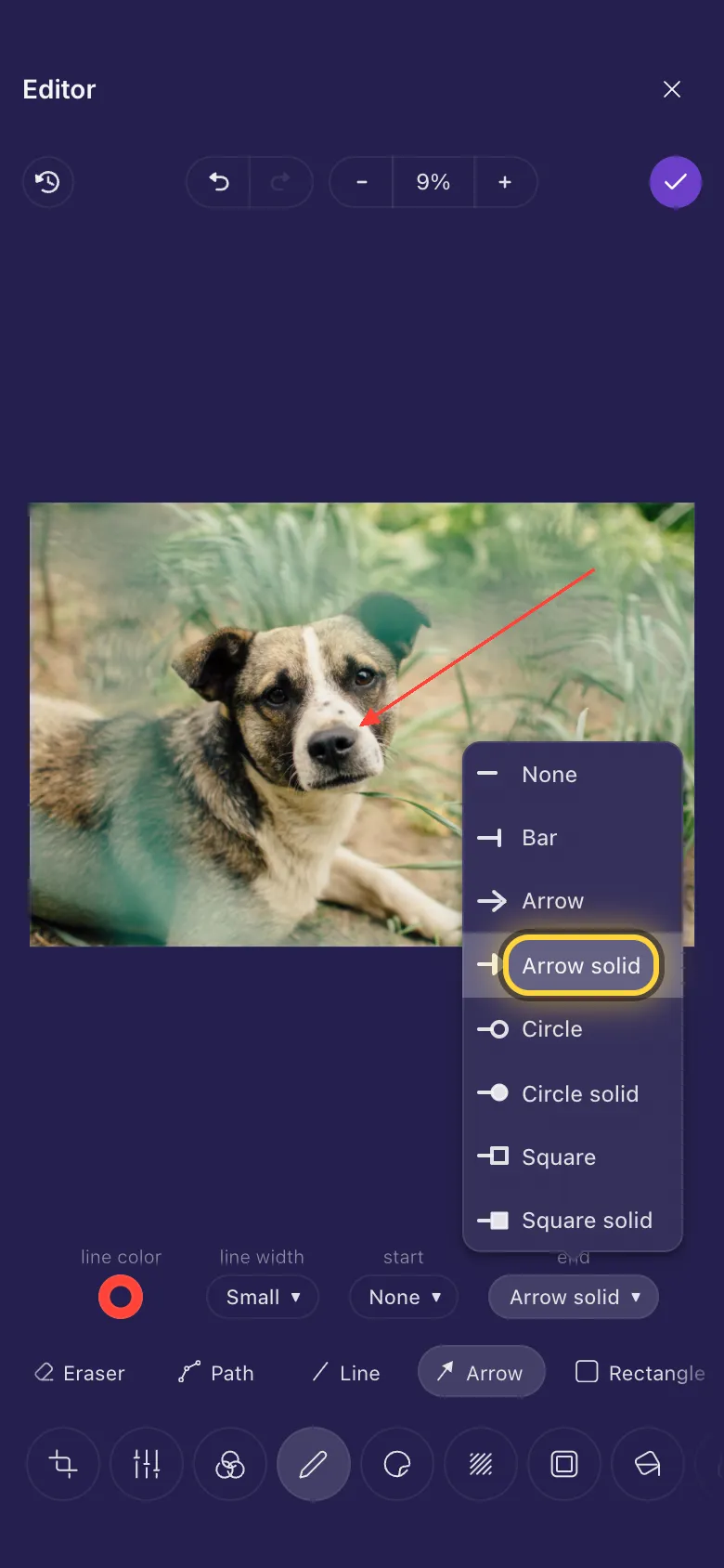 An arrow pointing at a dog's nose, with the list of line ends open