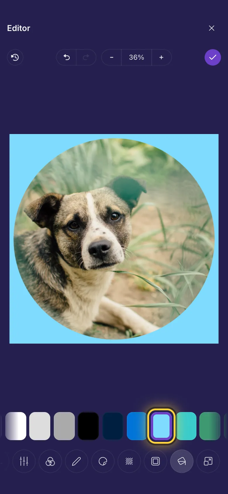 A round dog photo on a light blue square