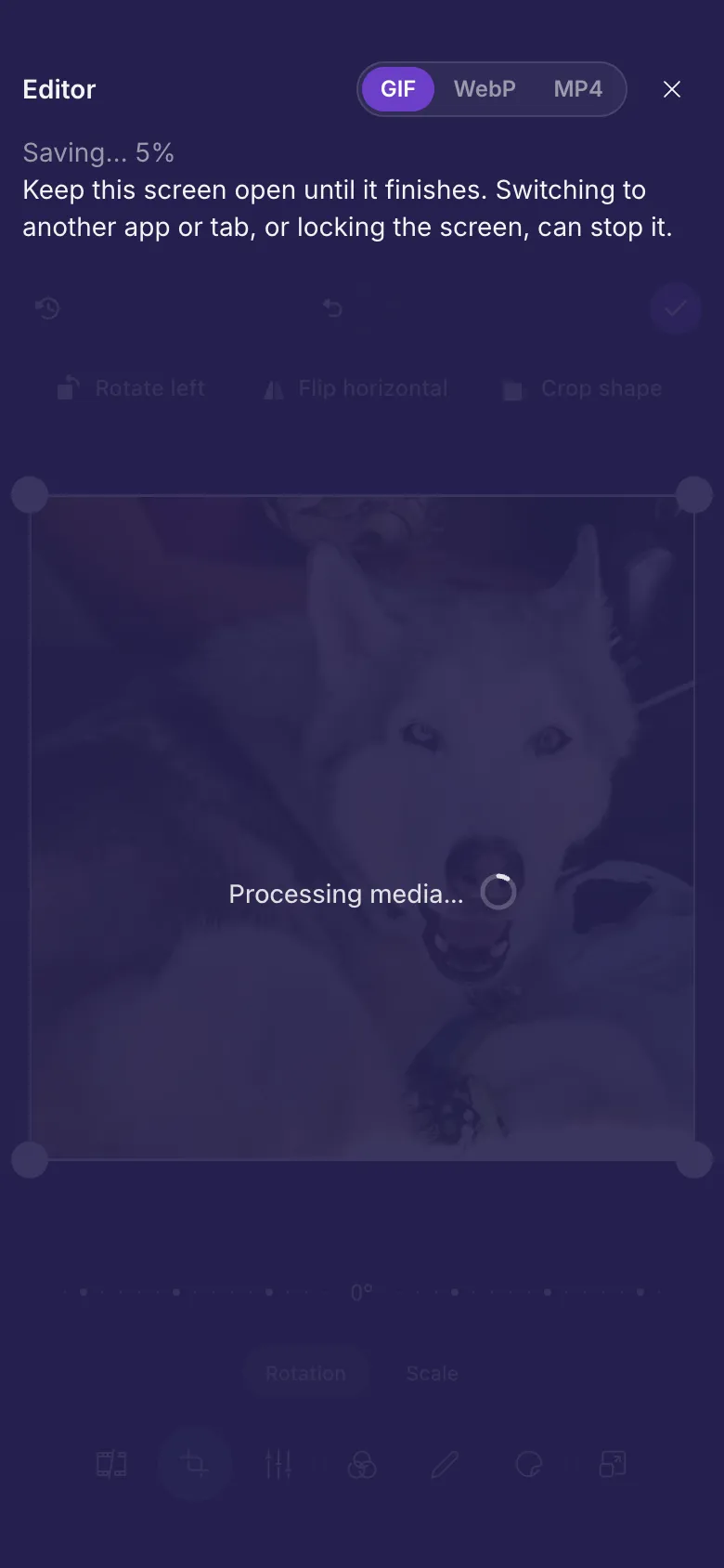 The editor saving a GIF