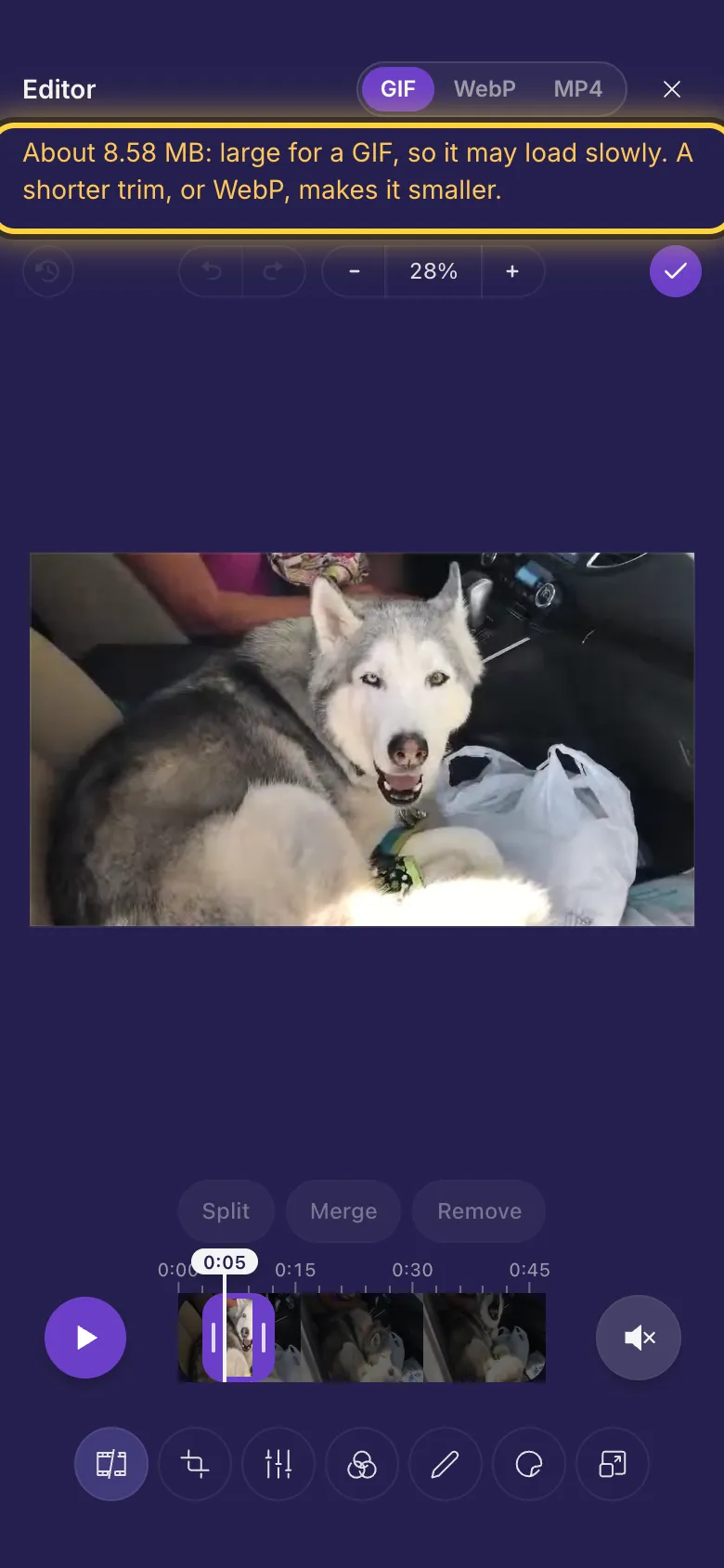 The note that warns a GIF is large, at the top of the editor