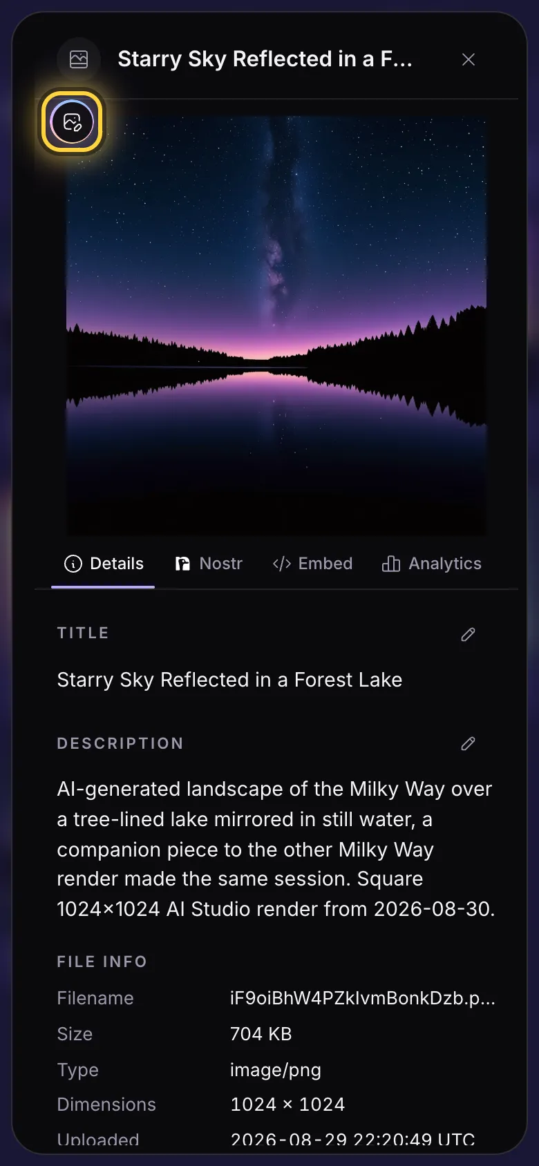 A picture's details with the round Edit button circled