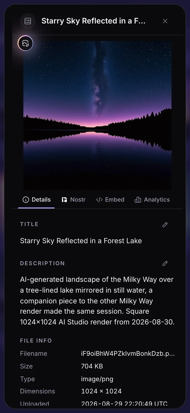 A file's details: the picture, the tabs, its title and description.