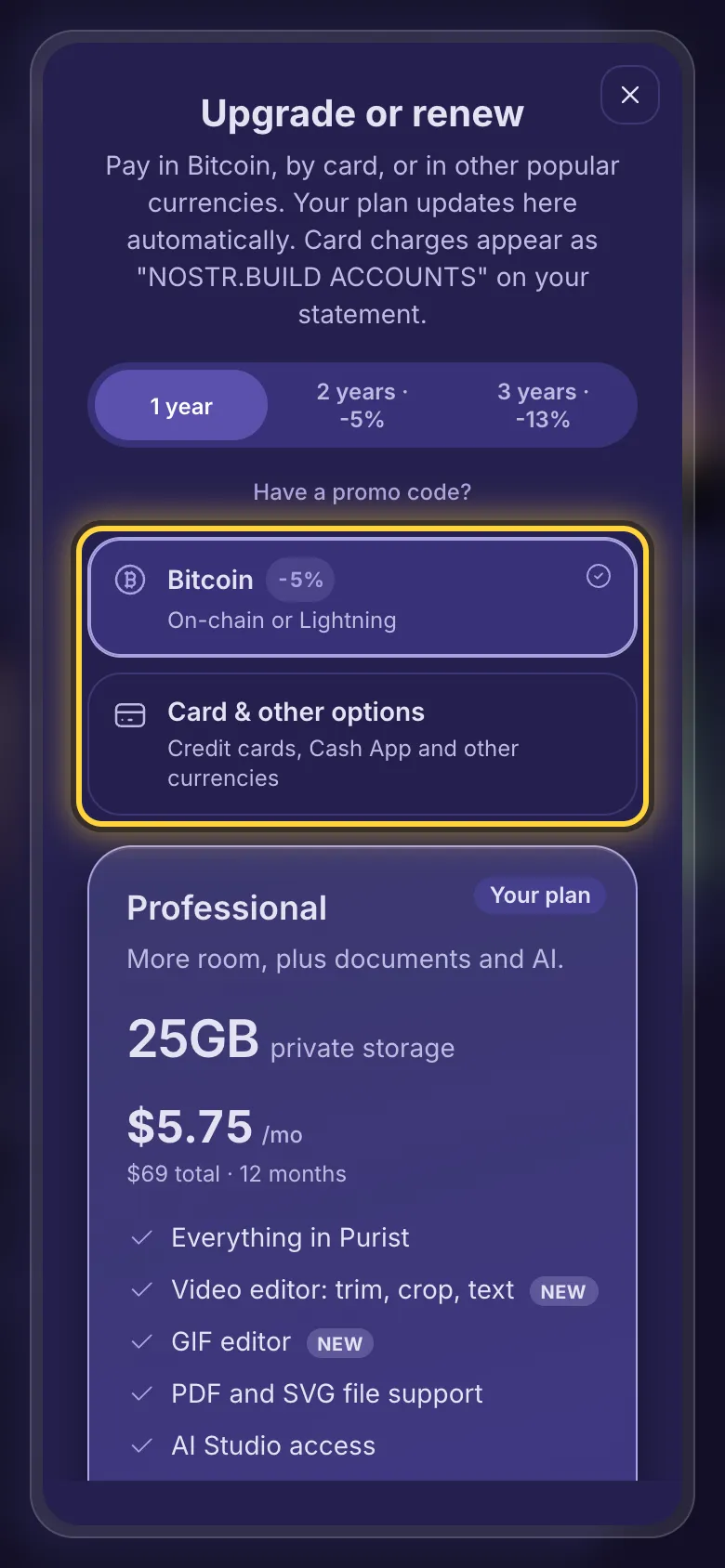 The payment choice: Bitcoin, or card and other options.