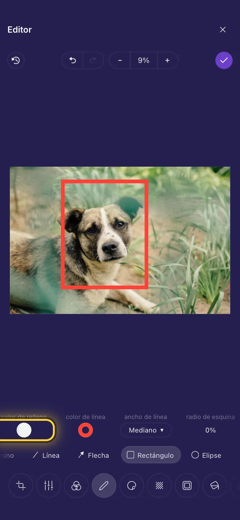 Un rectángulo con borde rojo alrededor de la cara de un perro