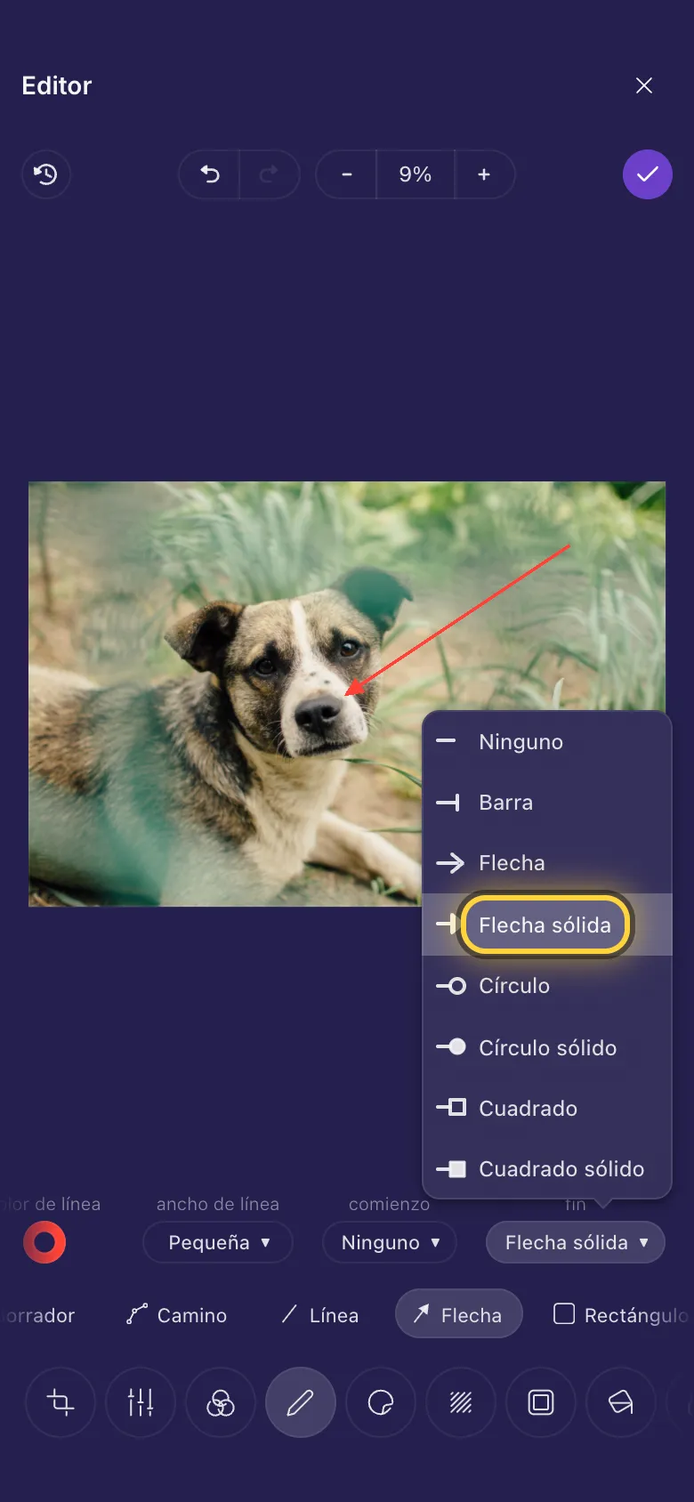 Una flecha que señala la nariz de un perro, con la lista de extremos de línea abierta