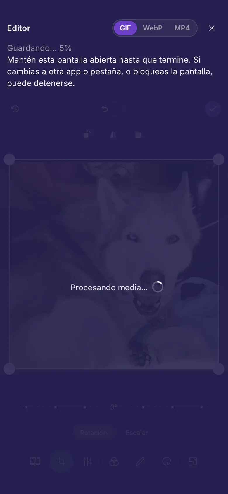El editor guardando un GIF