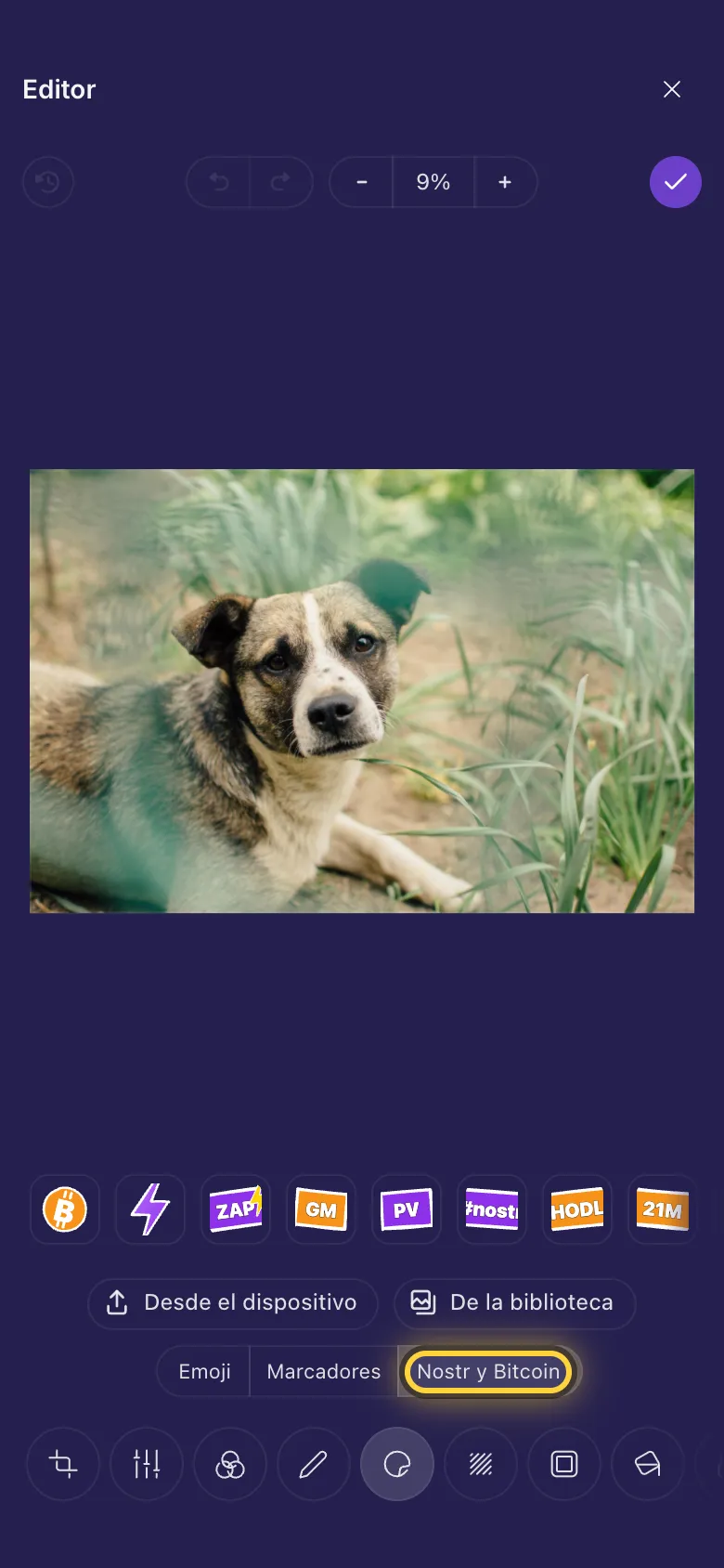 Los stickers de Nostr y Bitcoin debajo de la foto de un perro
