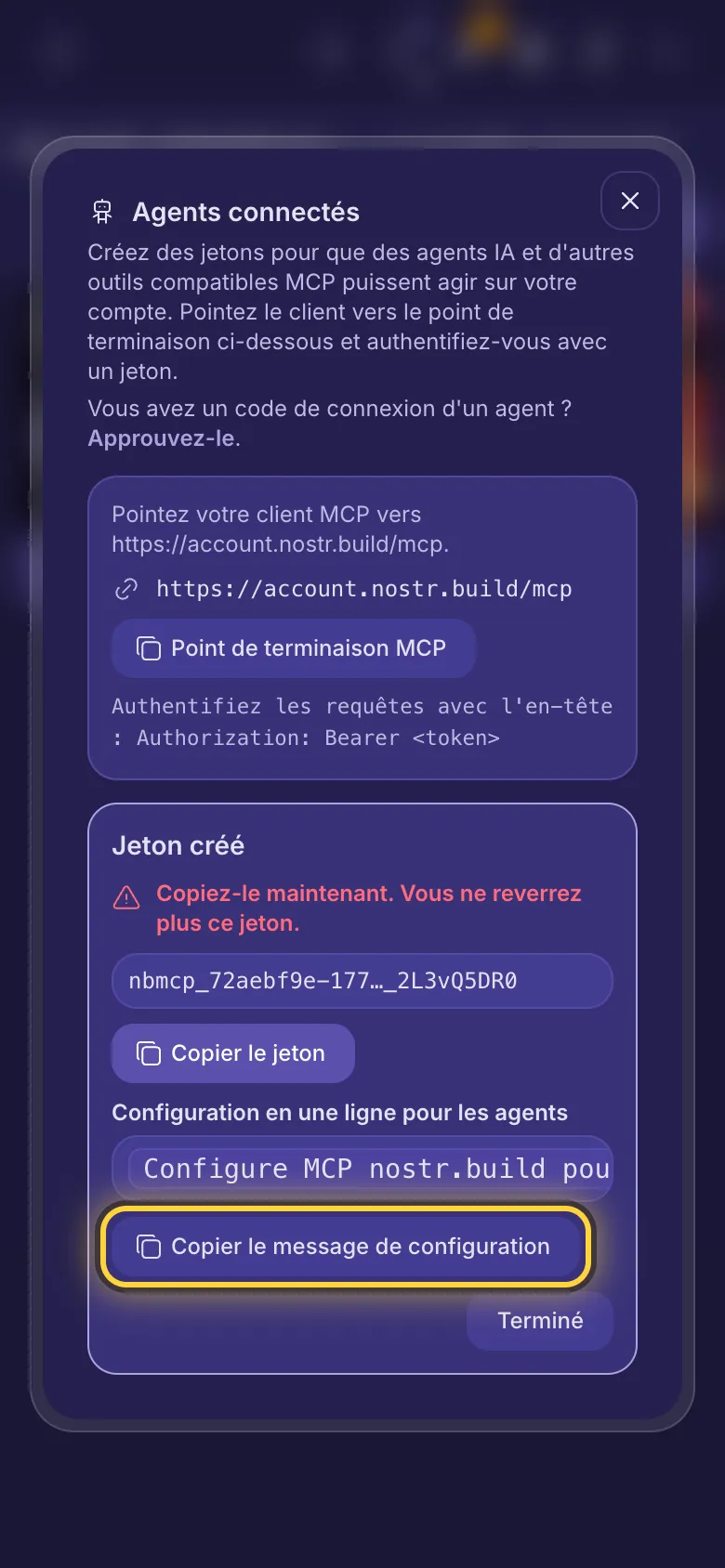 Jeton créé : le jeton, un bouton pour copier et le message de configuration d'une ligne.