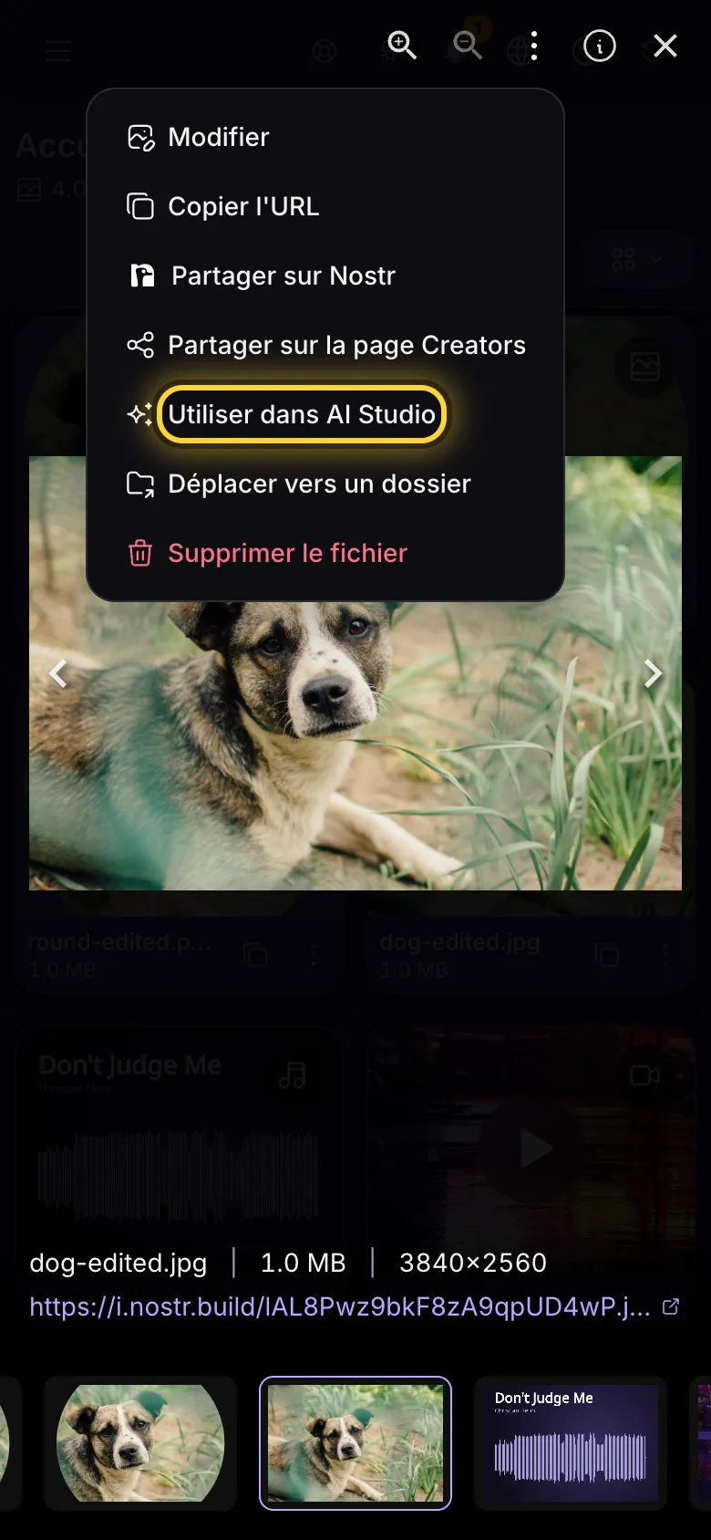 Une image ouverte en plein écran, avec son menu Actions ouvert et Utiliser dans AI Studio mis en évidence.