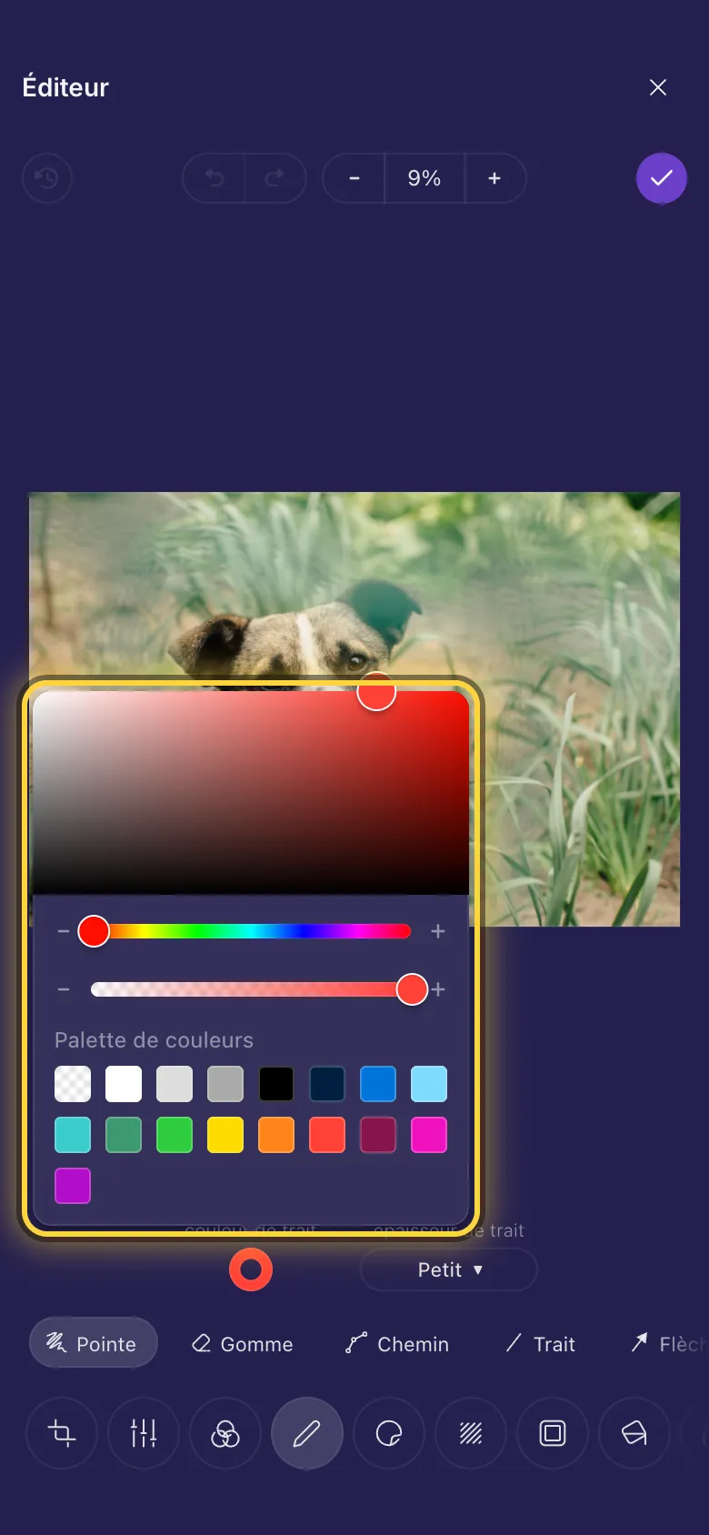 Le sélecteur de couleur ouvert sur une photo, avec sa palette