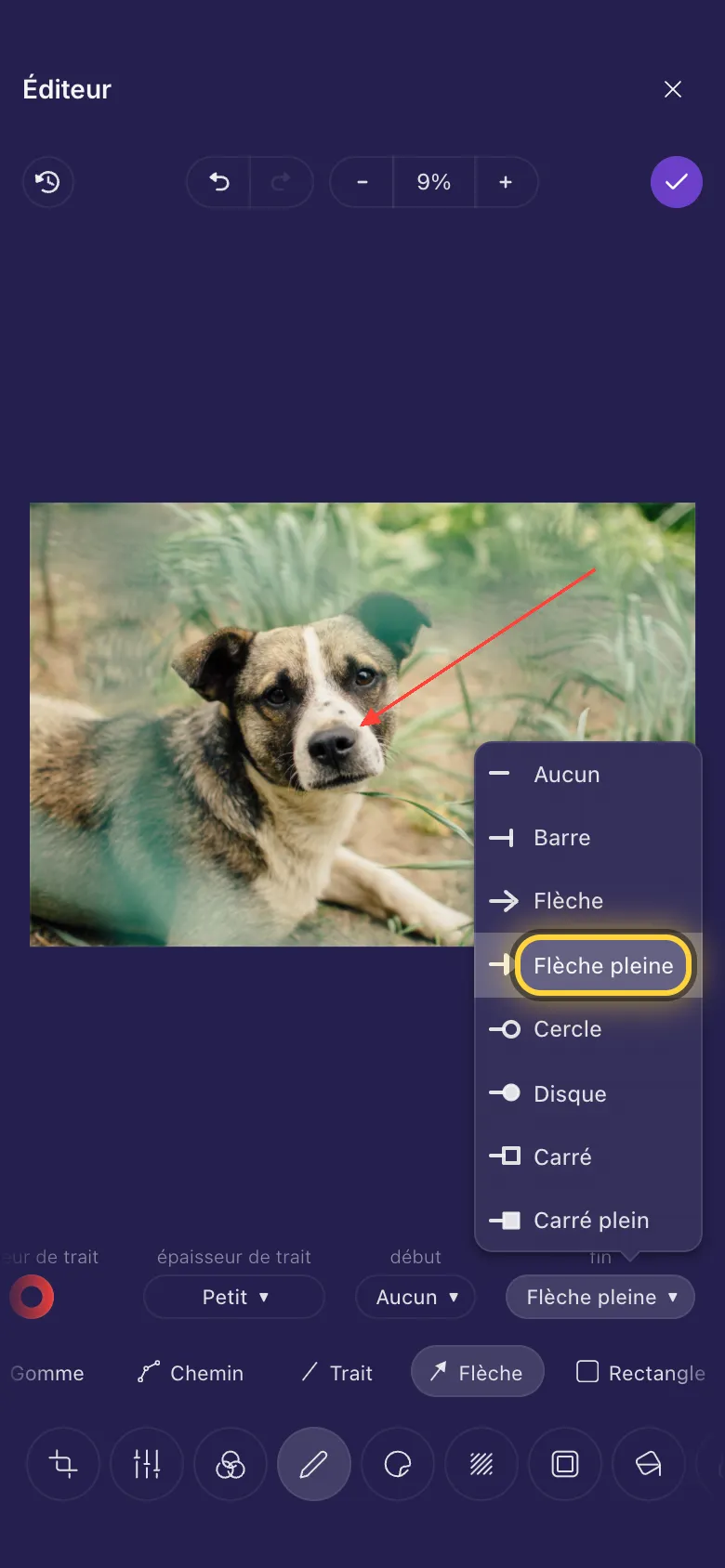 Une flèche qui montre le museau d'un chien, avec la liste des bouts de ligne ouverte