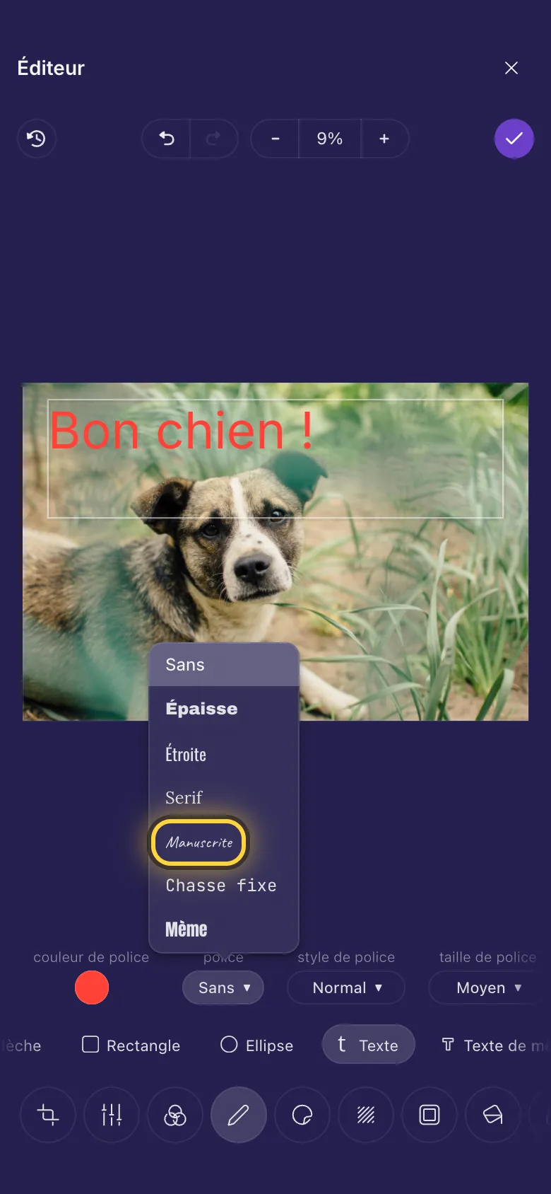 Des mots sur la photo d'un chien, avec la liste des polices ouverte