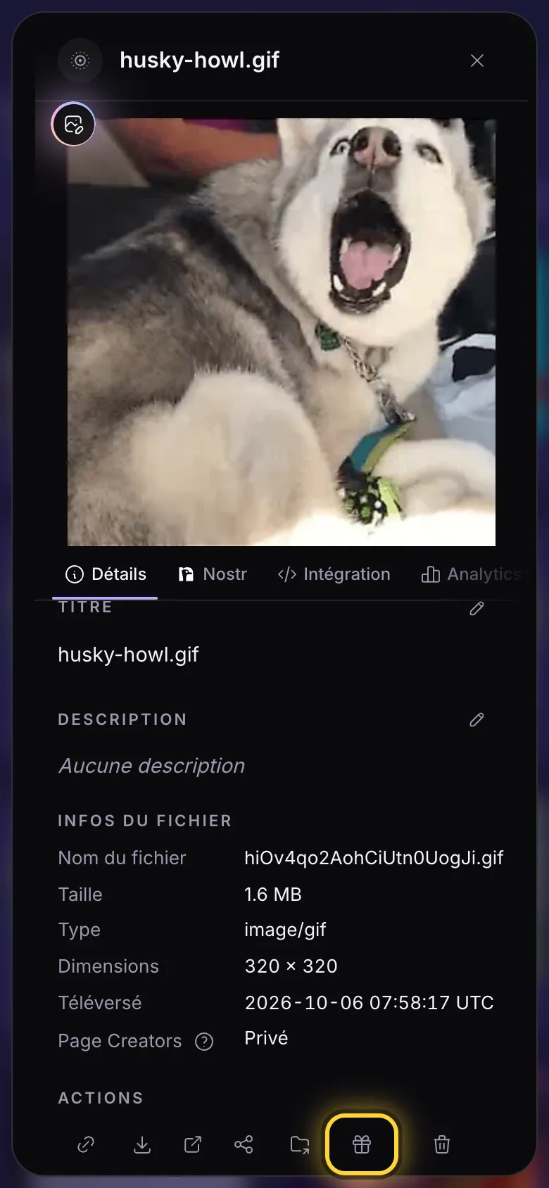Le bouton paquet cadeau dans les détails d'un GIF, entouré