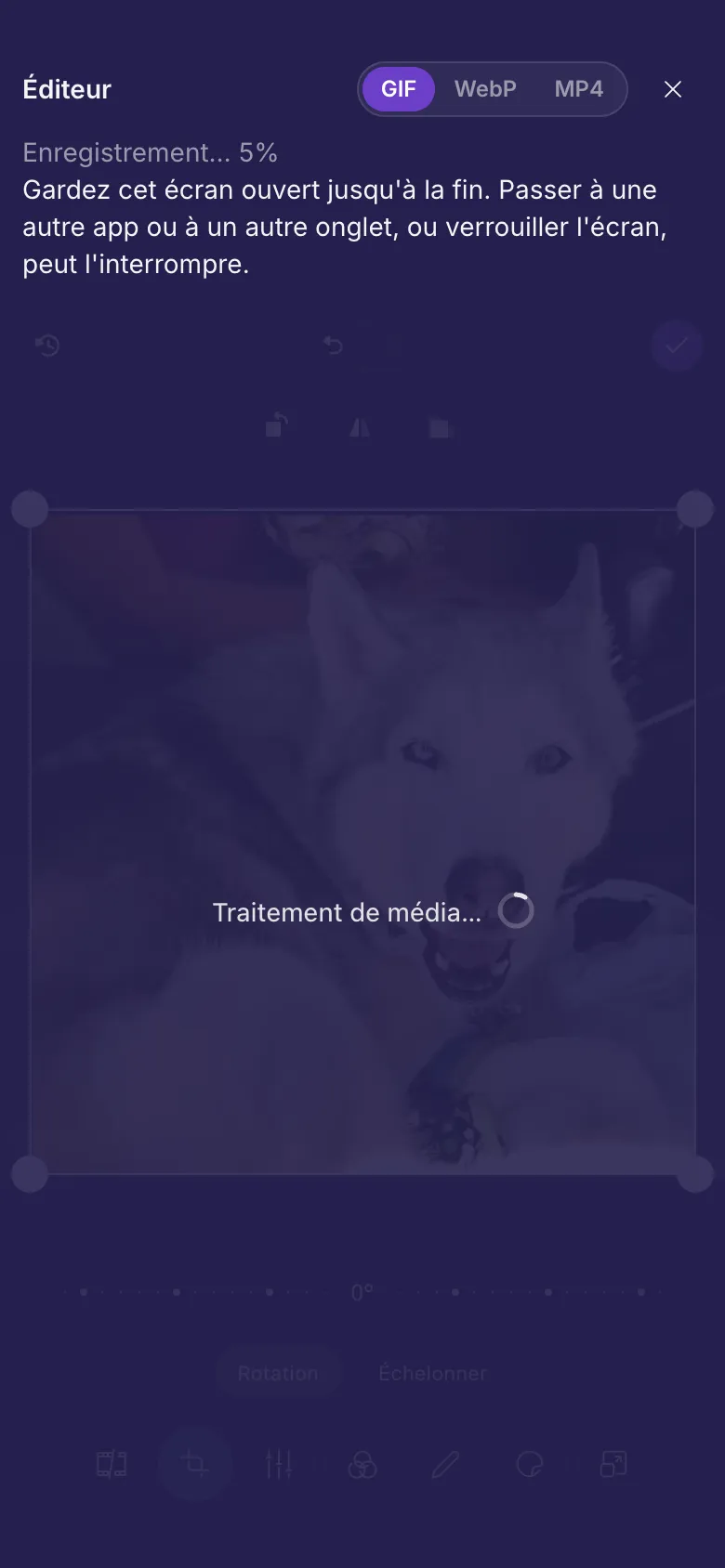 L'éditeur en train d'enregistrer un GIF