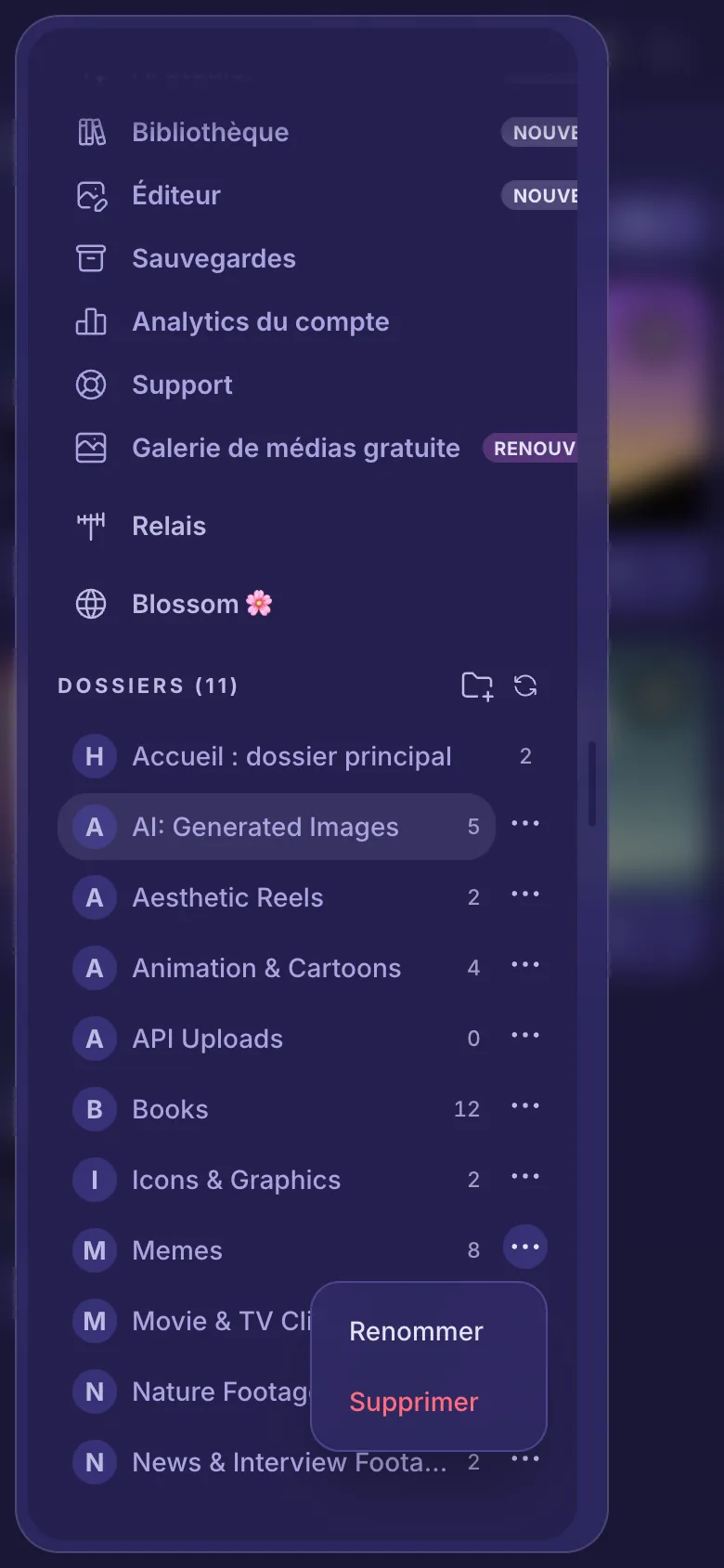 Le menu d'un dossier ouvert, avec Renommer et Supprimer.