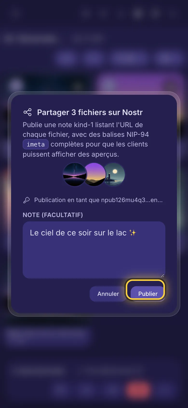 Partage de trois fichiers sur Nostr : le champ de note et le bouton Publier.