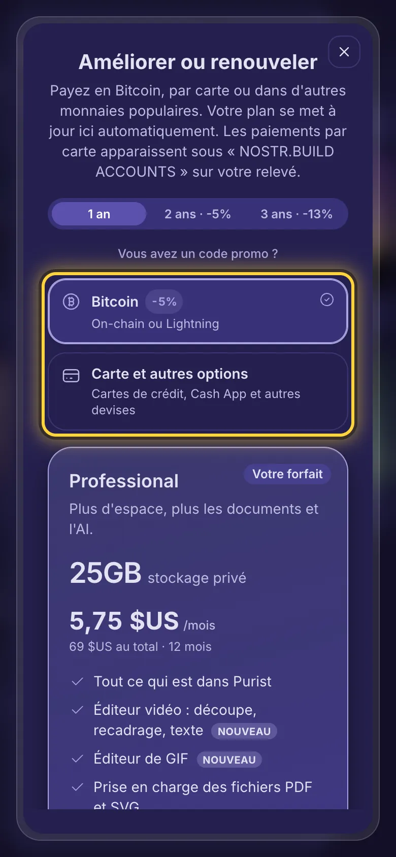 Le choix du paiement : Bitcoin, ou carte et autres options.