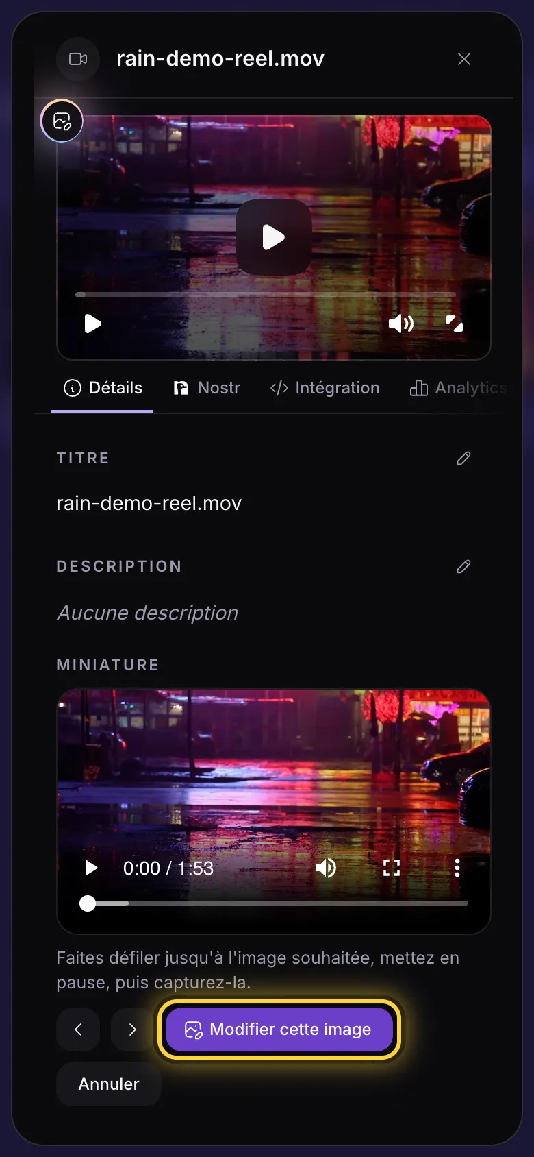 Les détails d'une vidéo avec Modifier cette image entouré dans la section Miniature