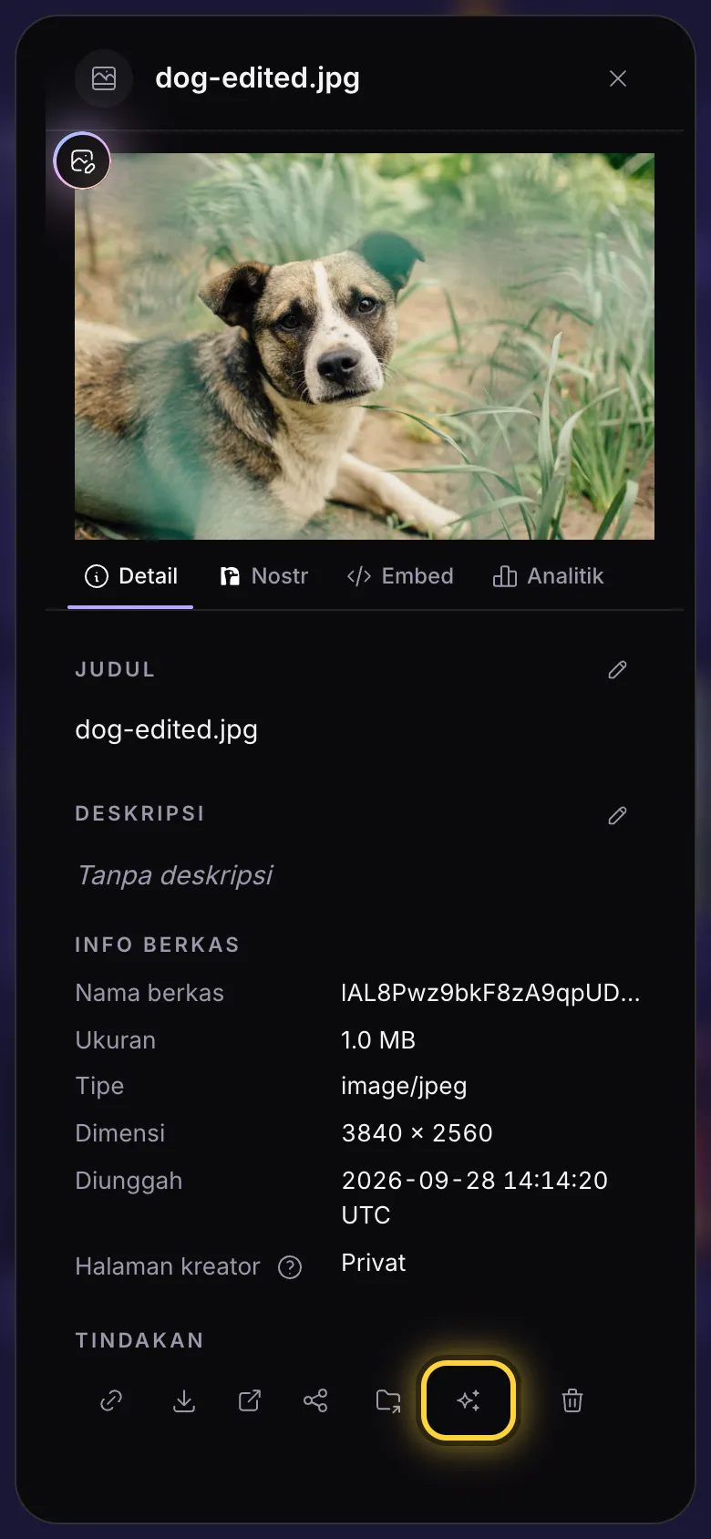 Panel detail gambar, dengan tombol Gunakan di AI Studio ditandai.