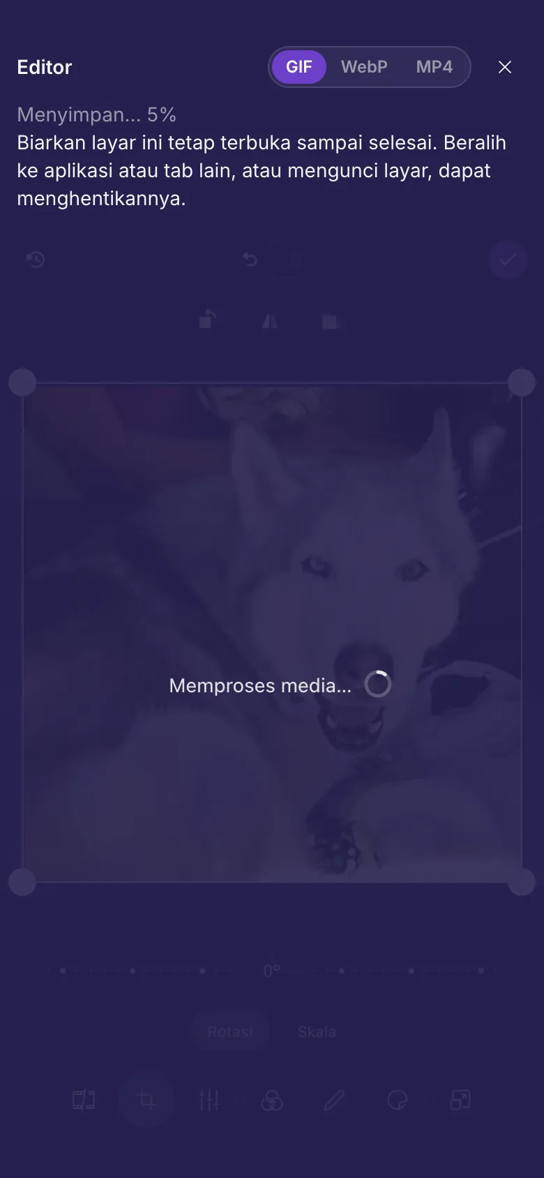 Editor sedang menyimpan GIF