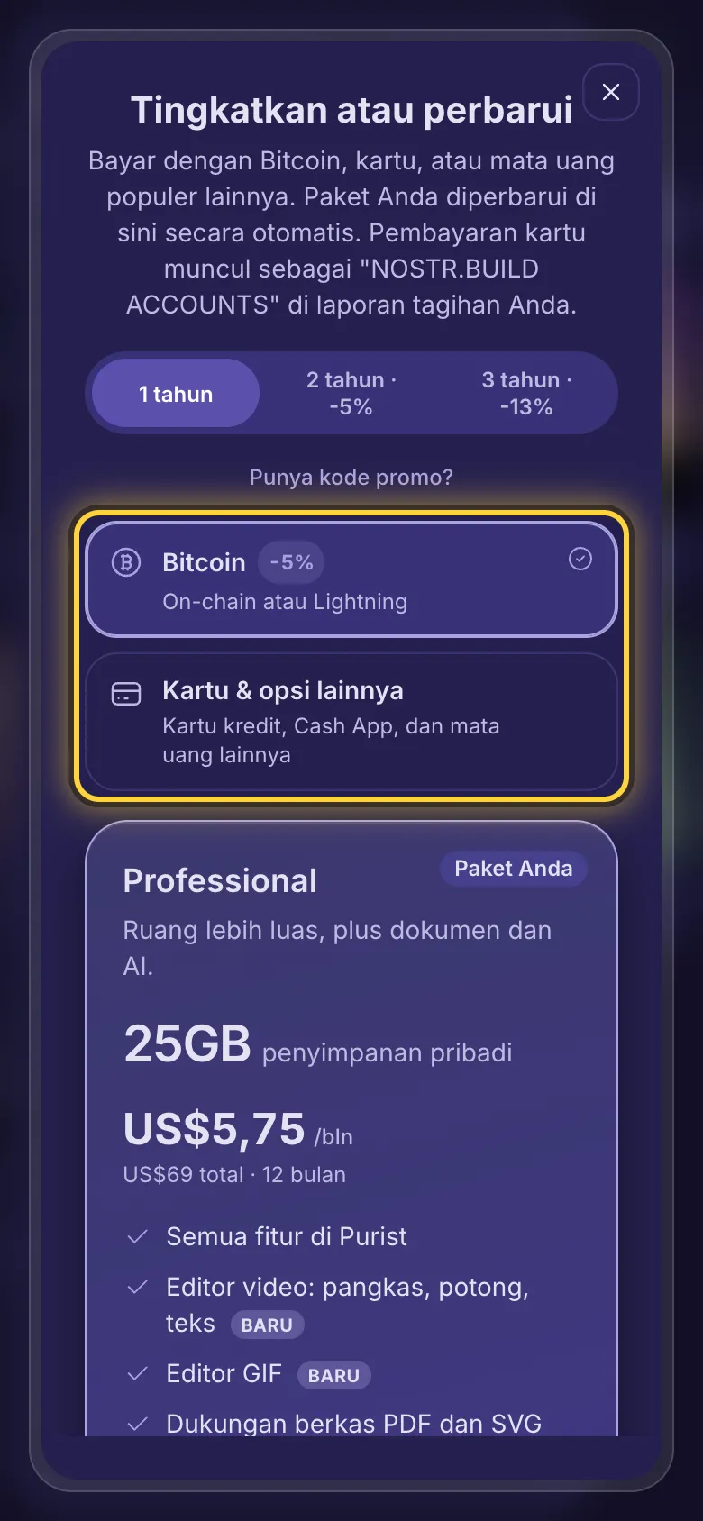 Pilihan pembayaran: Bitcoin, atau kartu dan opsi lainnya.
