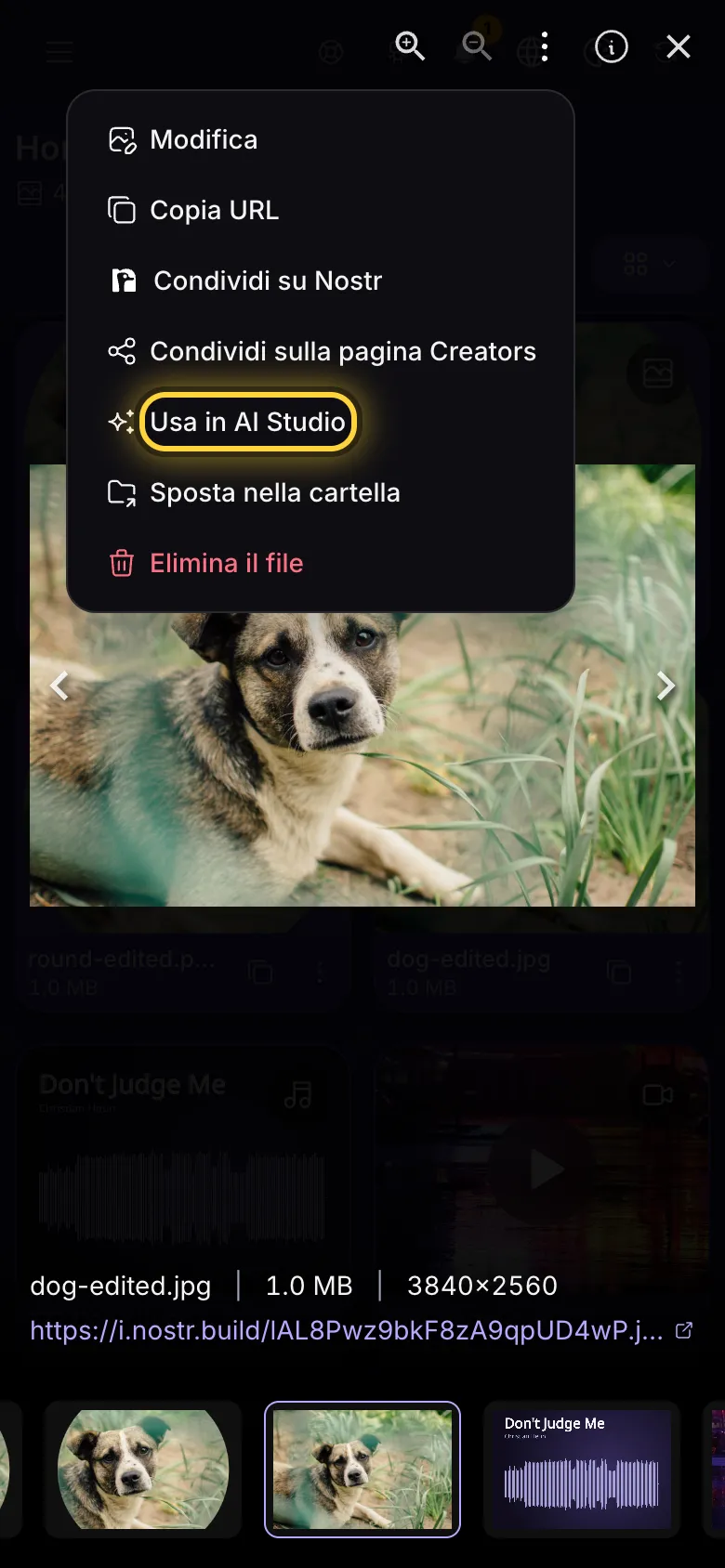 Un'immagine aperta a schermo intero, con il menu Azioni aperto e Usa in AI Studio evidenziato.