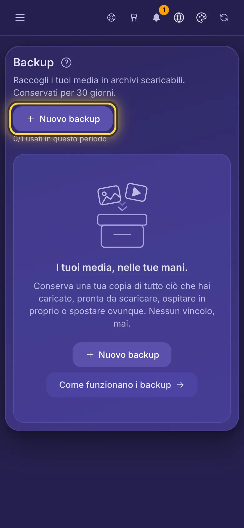 Backup, con il pulsante Nuovo backup e quanti backup restano in questo periodo.