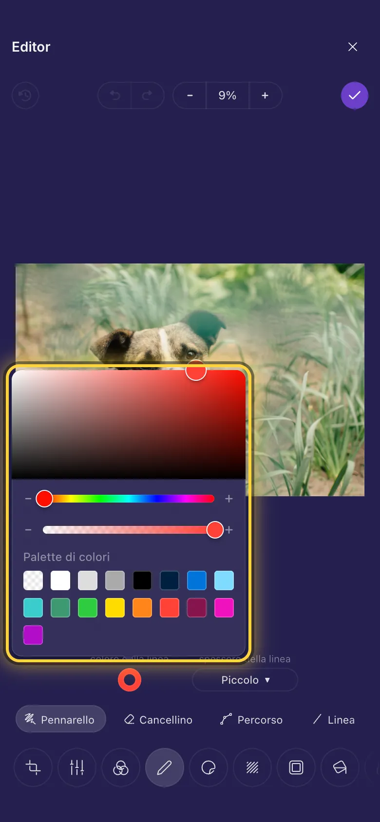 Il selettore del colore aperto su una foto, con la sua tavolozza