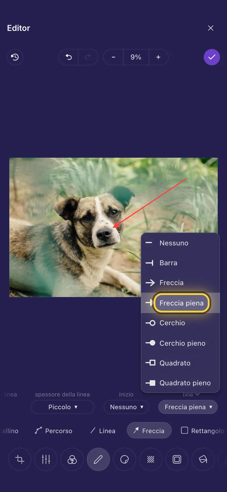 Una freccia che indica il naso di un cane, con l'elenco delle estremità della linea aperto