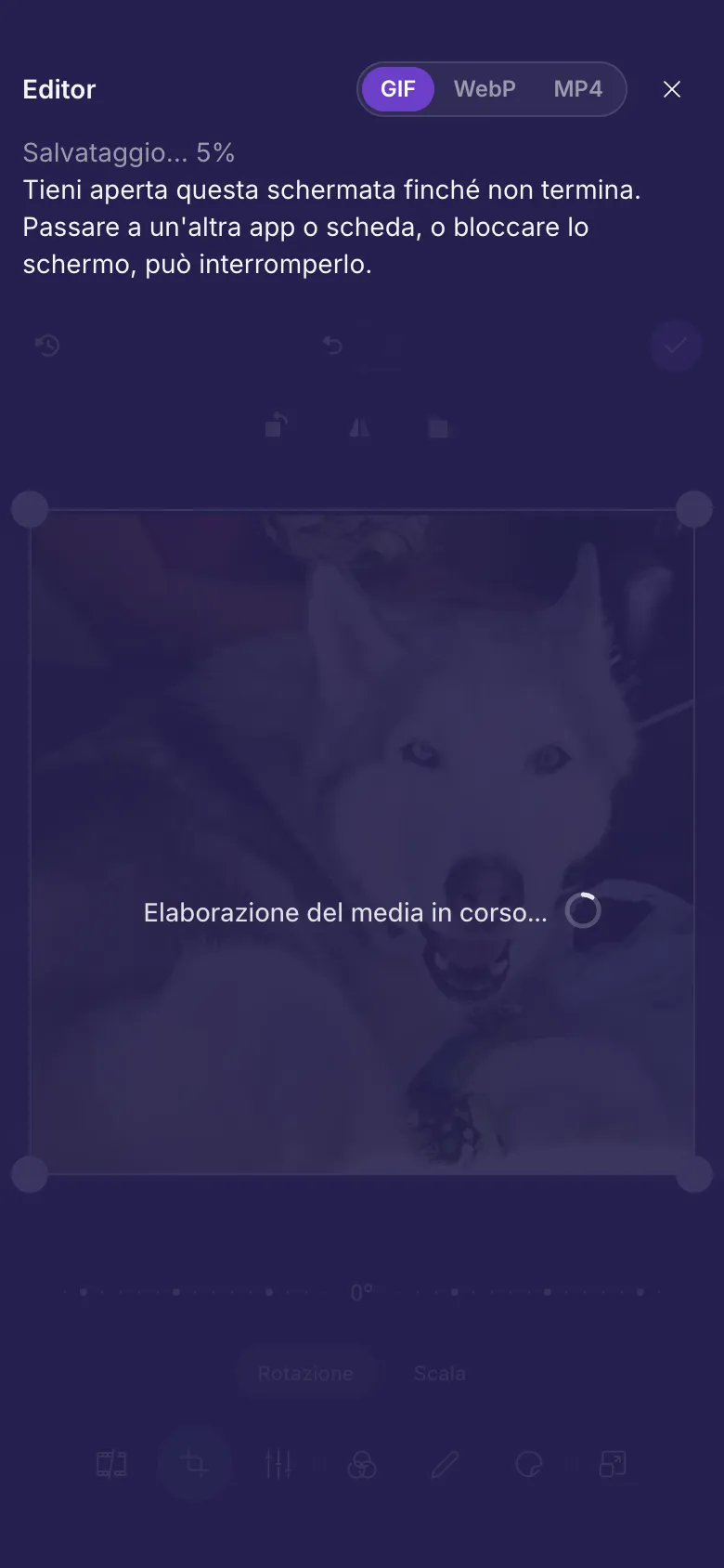 L'editor mentre salva una GIF