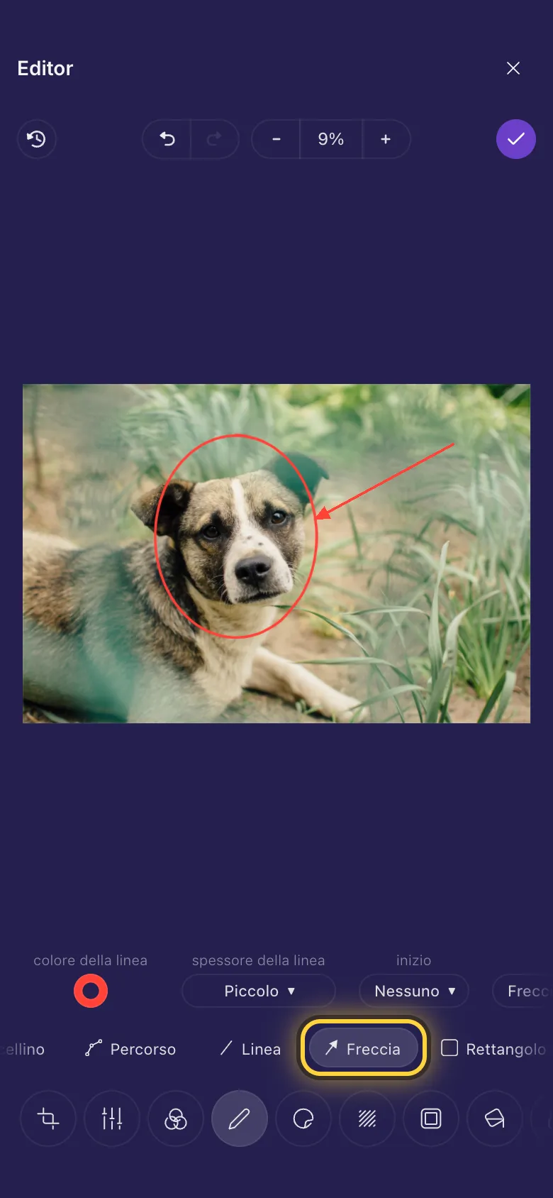 Un cerchio rosso disegnato intorno al muso di un cane, con una freccia che lo indica