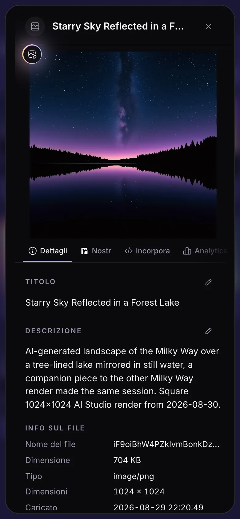 I dettagli di un file: l'immagine, le schede, il titolo e la descrizione.