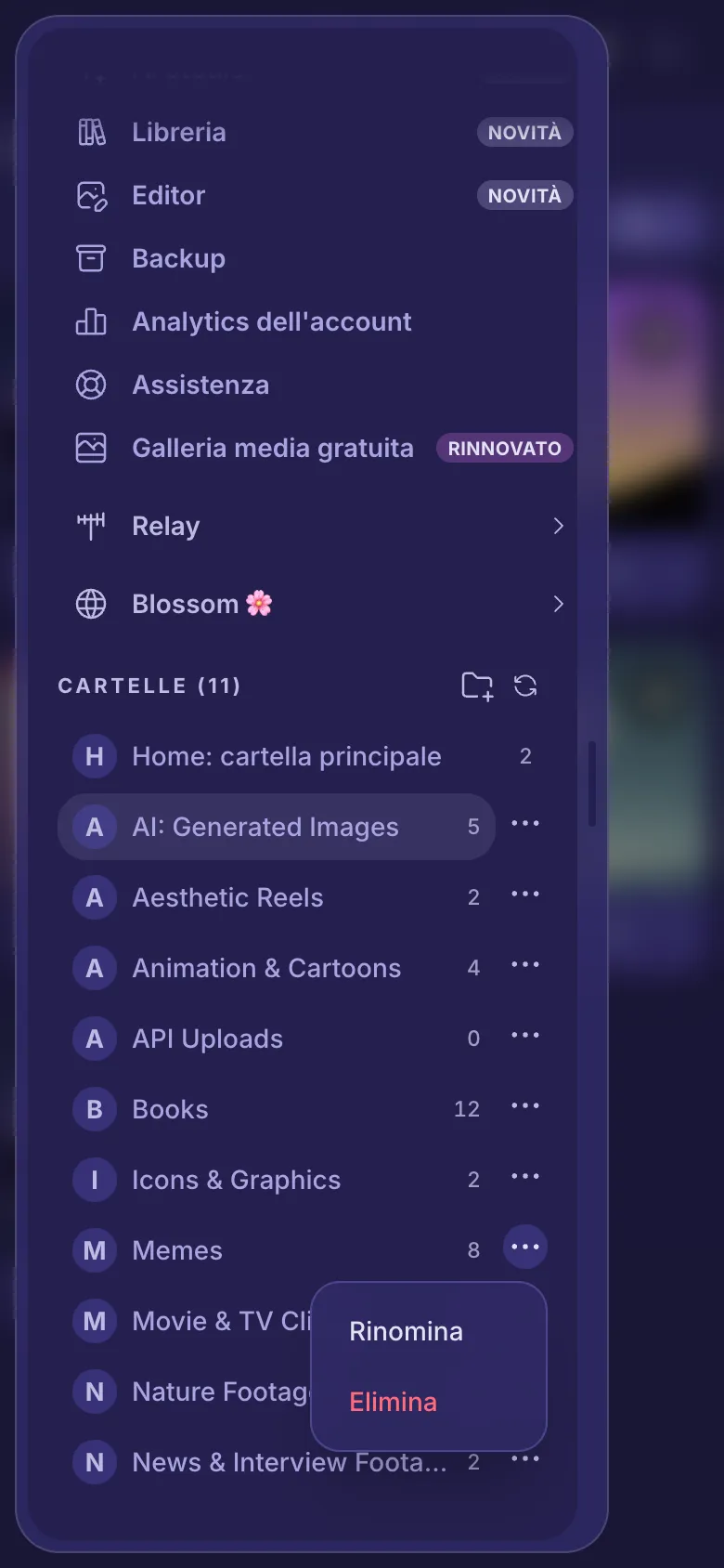 Il menu di una cartella aperto, con Rinomina ed Elimina.