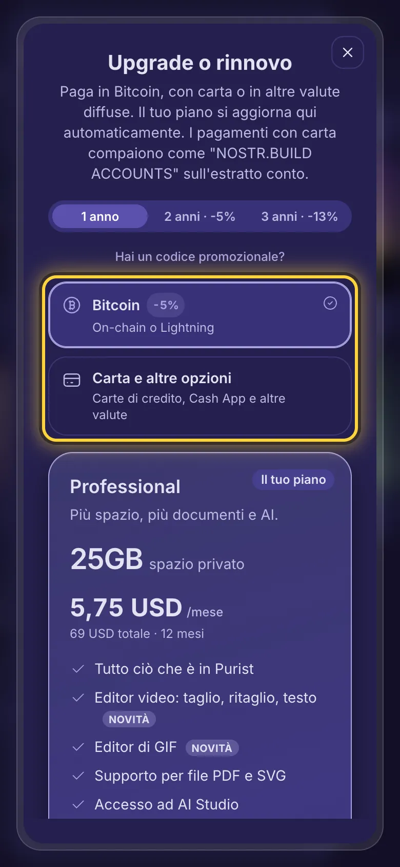 La scelta del pagamento: Bitcoin, oppure carta e altre opzioni.
