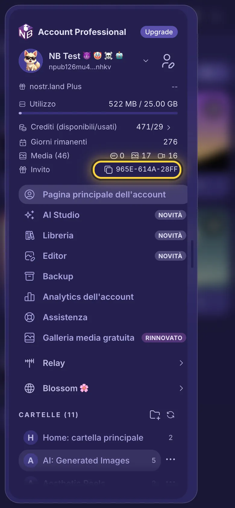 Il menu con la riga del link di invito cerchiata.