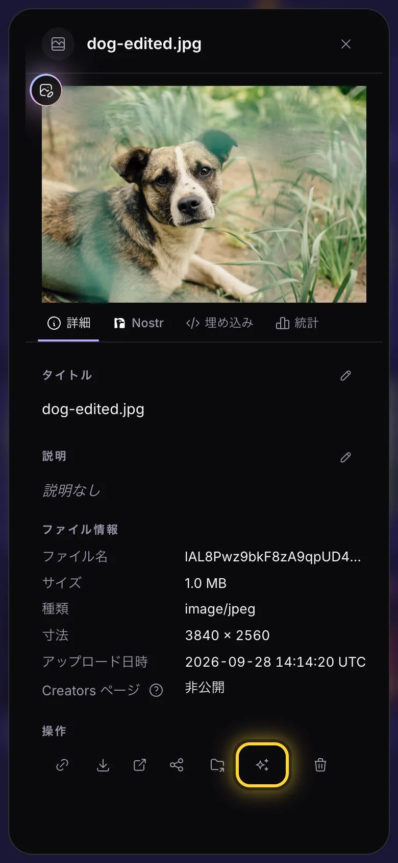 画像の詳細パネル。AI Studioで使うボタンに印が付いています。
