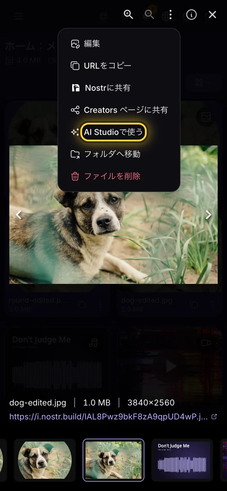 全画面で開いた画像。操作メニューが開き、AI Studioで使うに印が付いています。