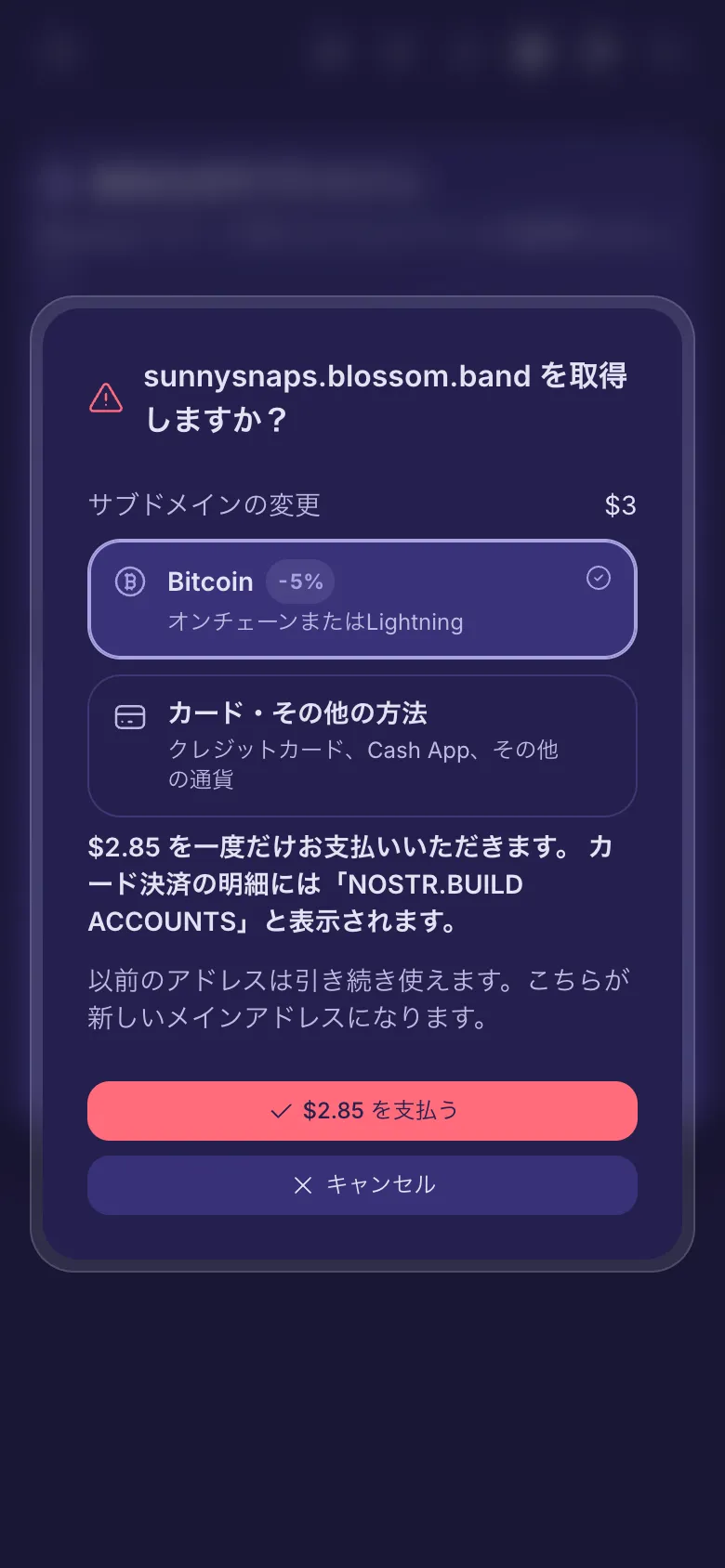 有料の名前を取得する前の確認画面。料金と支払い方法の選択が表示されています。