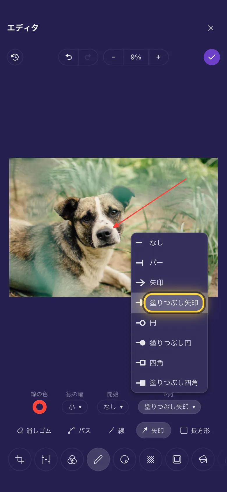 犬の鼻を指す矢印と、開いた線の端の一覧